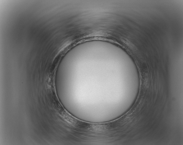 X0000060231258200511041221