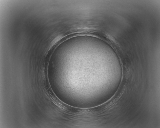 X0000060231259200511041221