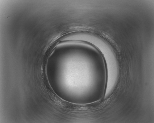 X0000060231261200511041221