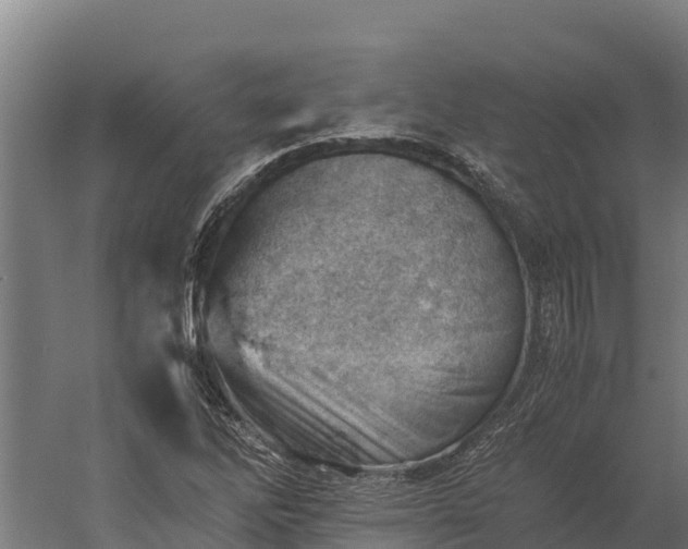 X0000060231262200511041221