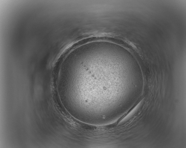 X0000060231263200511041221