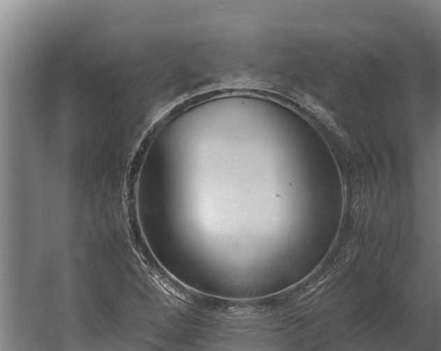 X0000060231264200511041221