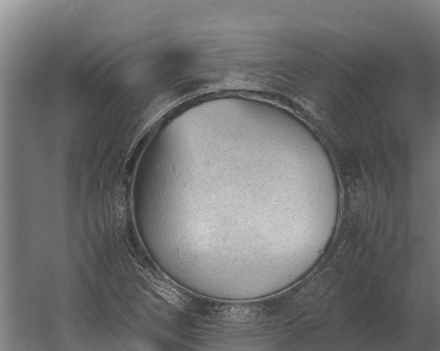 X0000060231266200511041221