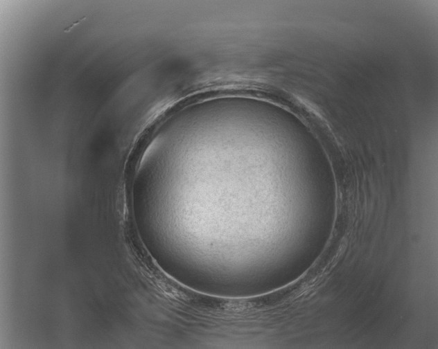 X0000060231267200511041221