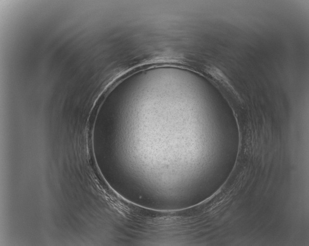 X0000060231268200511041221