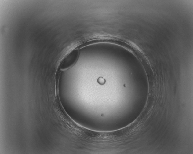 X0000060231269200511041221