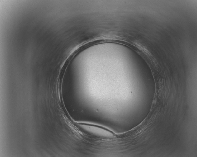 X0000060231272200511041221