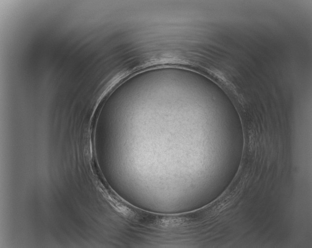 X0000060231274200511041221