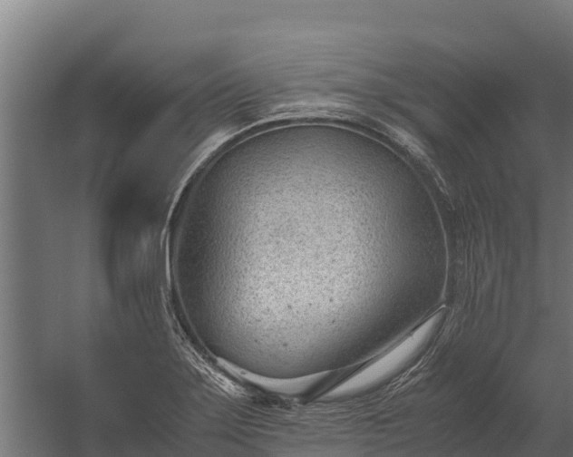 X0000060231275200511041221