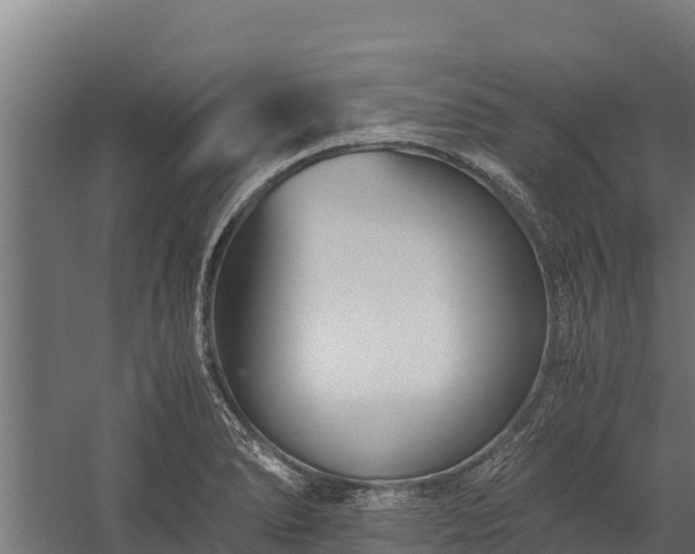 X0000060231278200511041221