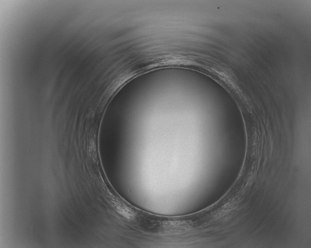 X0000060231281200511041221