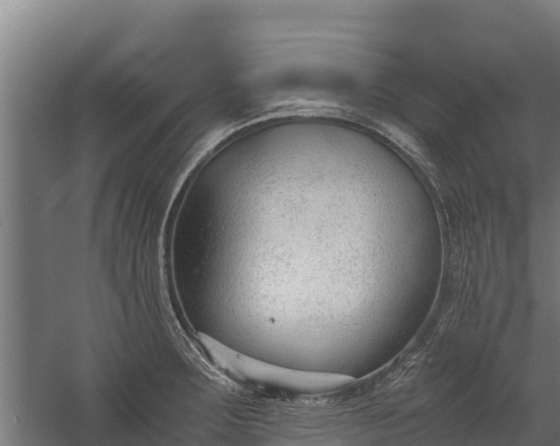 X0000060231283200511041221