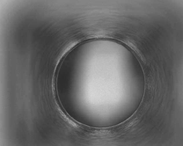 X0000060231285200511041221