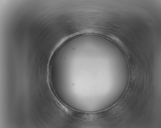 X0000060231286200511041221