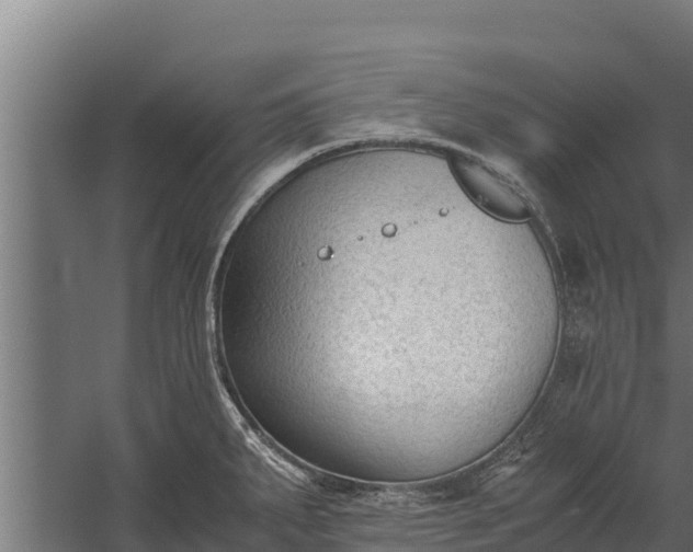 X0000060231287200511041221