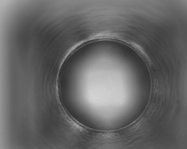 X0000060231288200511041221