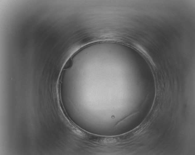 X0000060231291200511041221