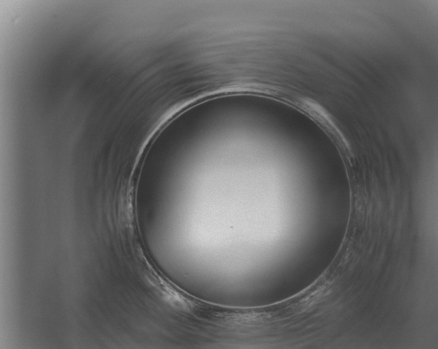 X0000060231292200511041221