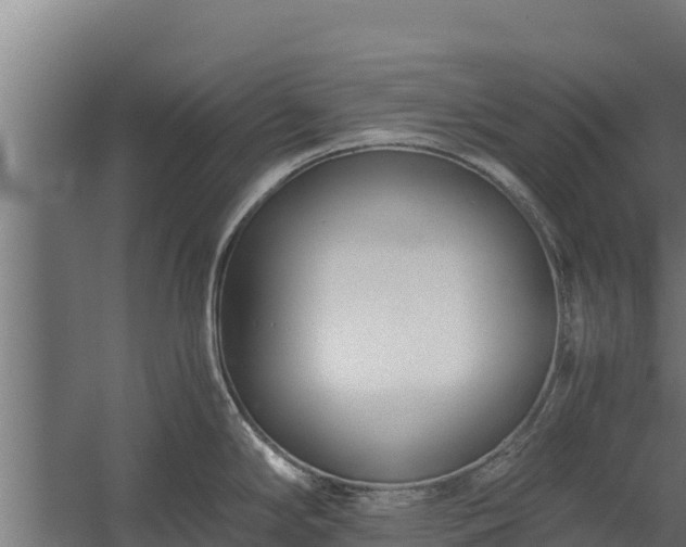 X0000060231294200511041221