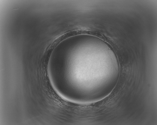 X0000060231303200511041220