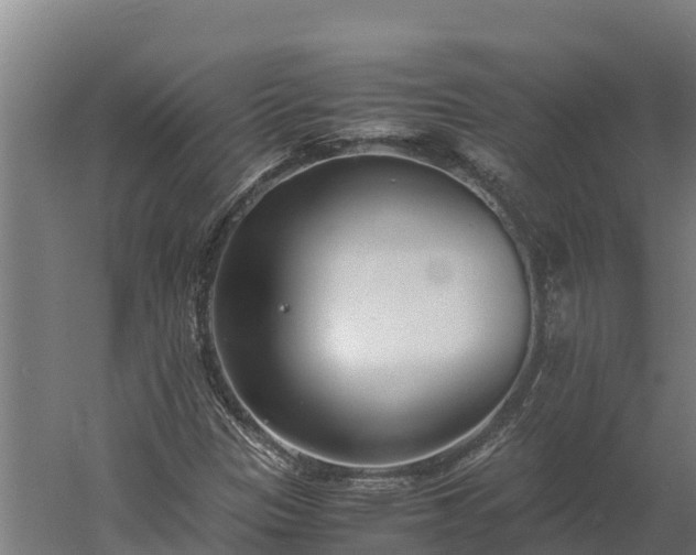 X0000060231305200511041220