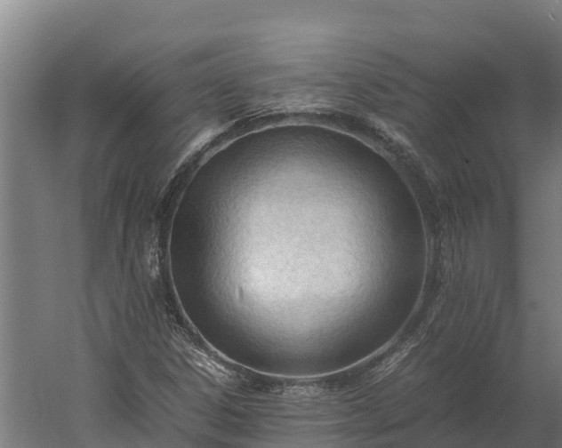 X0000060231306200511041220