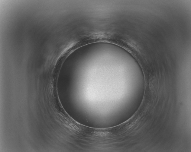 X0000060231309200511041220