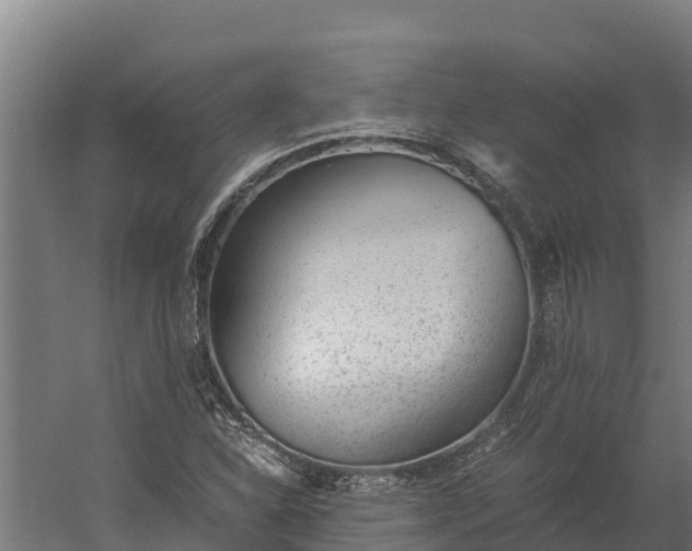 X0000060231310200511041220