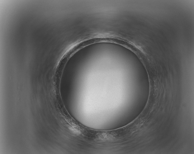 X0000060231311200511041220