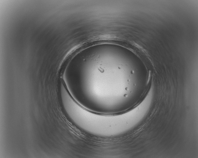 X0000060231314200511041220