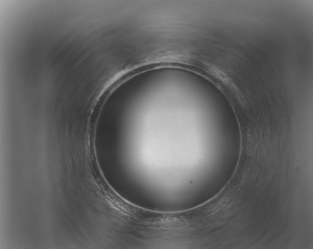 X0000060231316200511041220