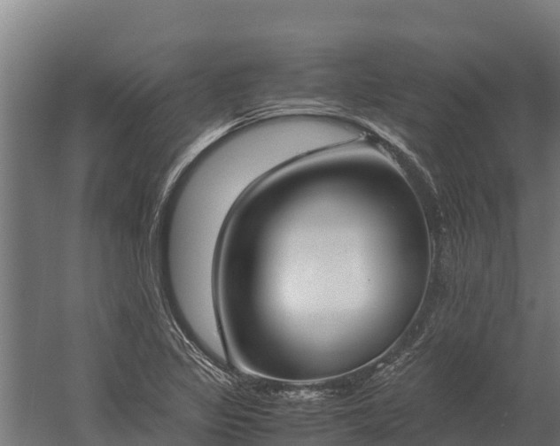 X0000060231317200511041220