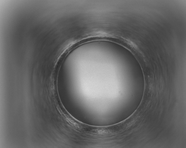 X0000060231318200511041220