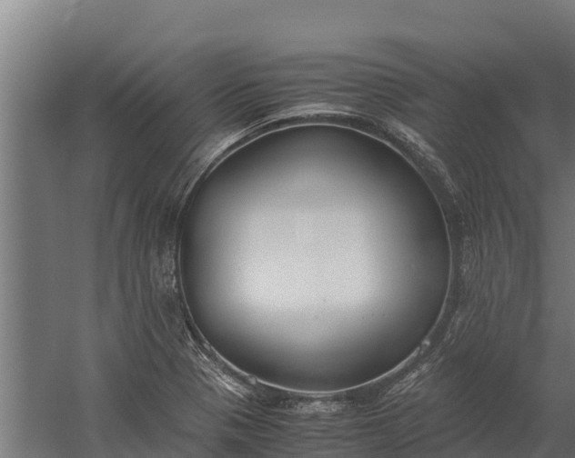 X0000060231321200511041220