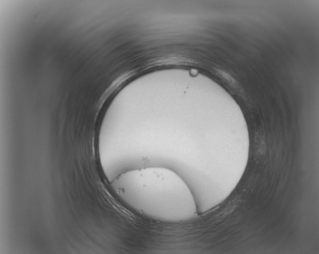 X0000060231322200511041220