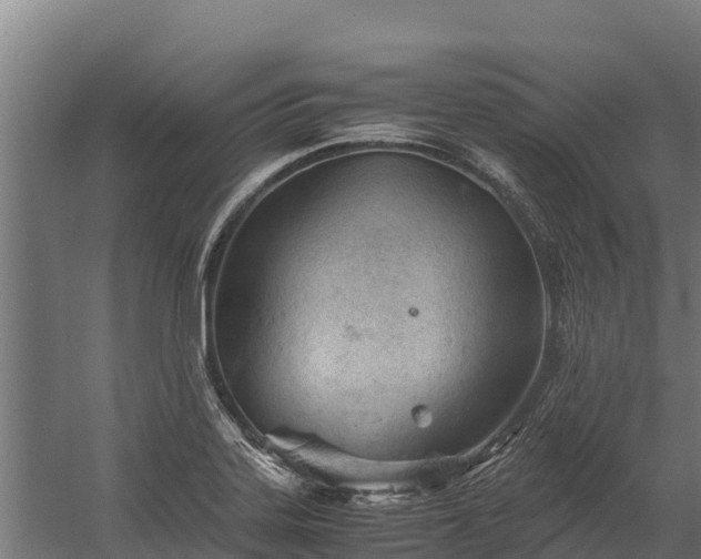 X0000060231323200511041220