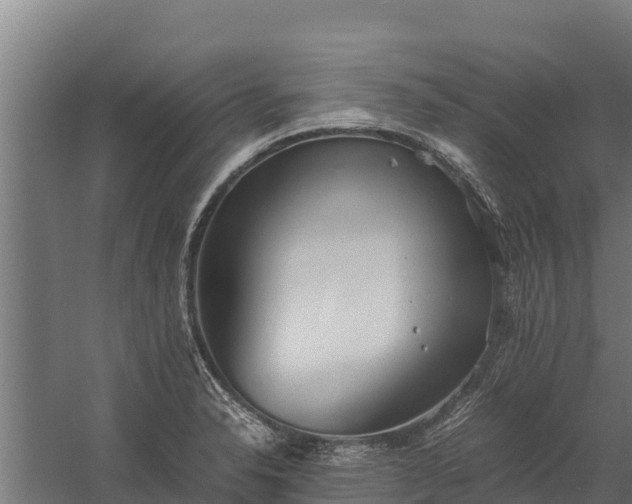 X0000060231326200511041220