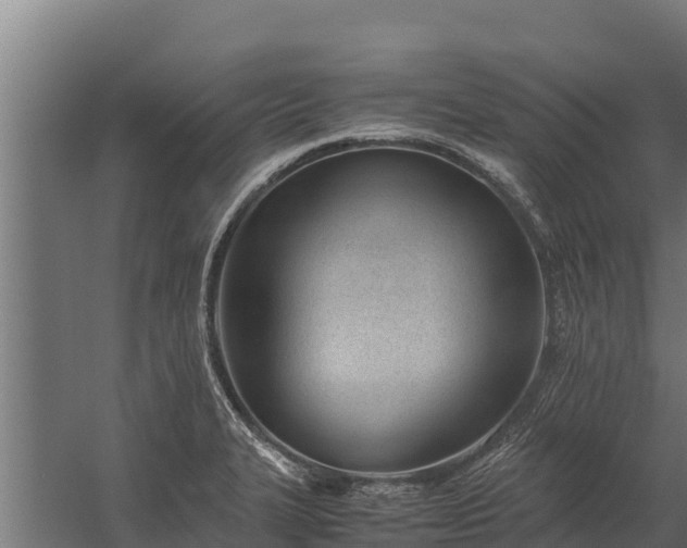 X0000060231327200511041220