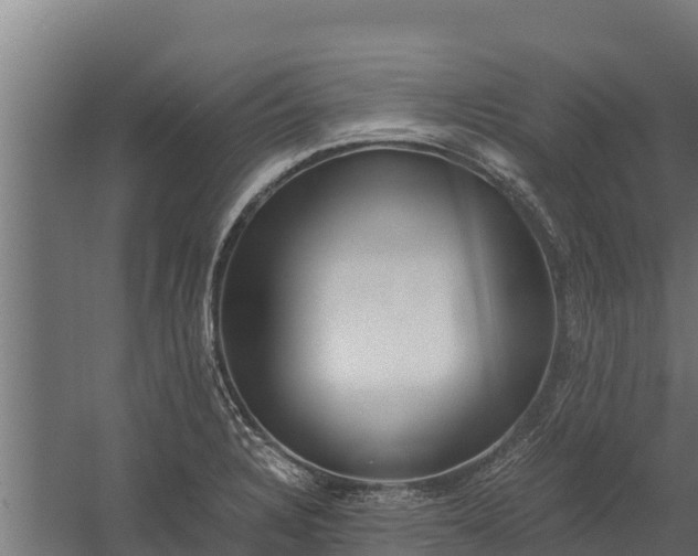 X0000060231328200511041220