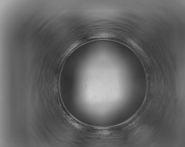 X0000060231329200511041220