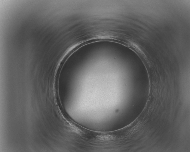 X0000060231331200511041220