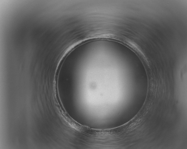 X0000060231332200511041220