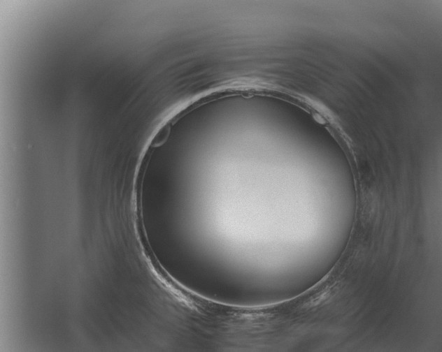 X0000060231335200511041221