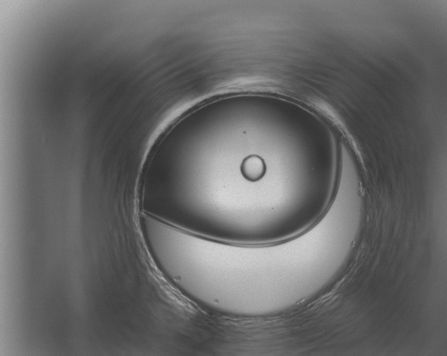 X0000060231336200511041221