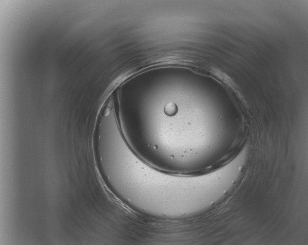 X0000060231338200511041221