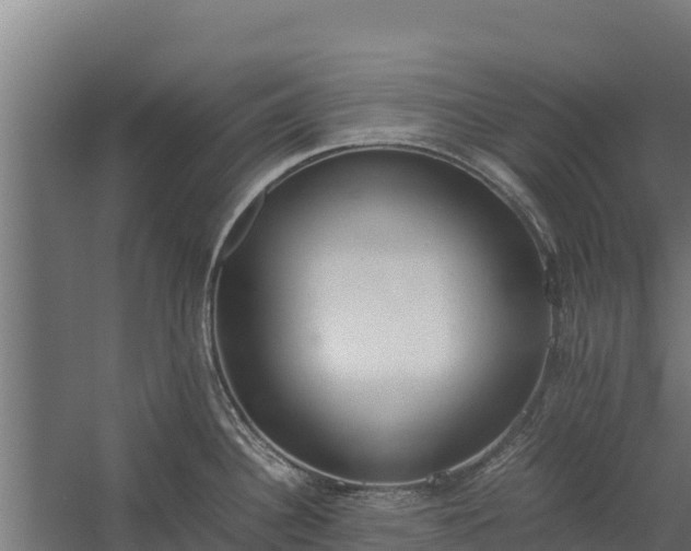 X0000060231340200511041221