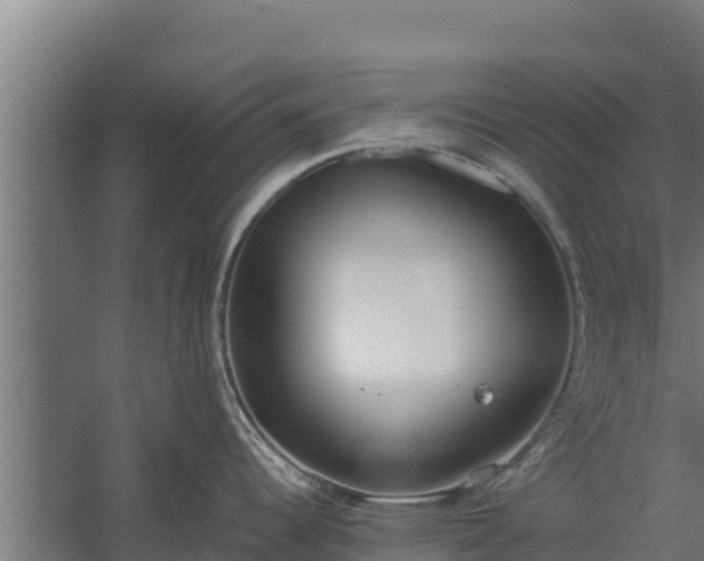 X0000060231344200511041221