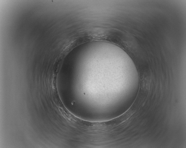 X0000060231346200511041220