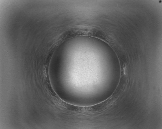 X0000060231347200511041220