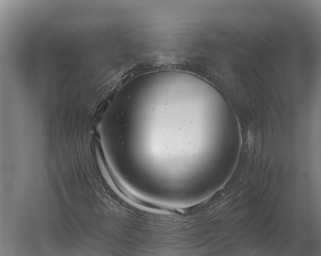 X0000060231348200511041220